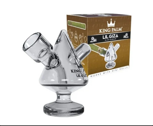 King Palm "Lil Giza"