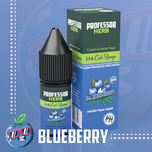 Professor Herb H4CBD 1700mg e-liquid - Blueberry