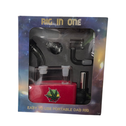 Rig in One Portable DAB Set